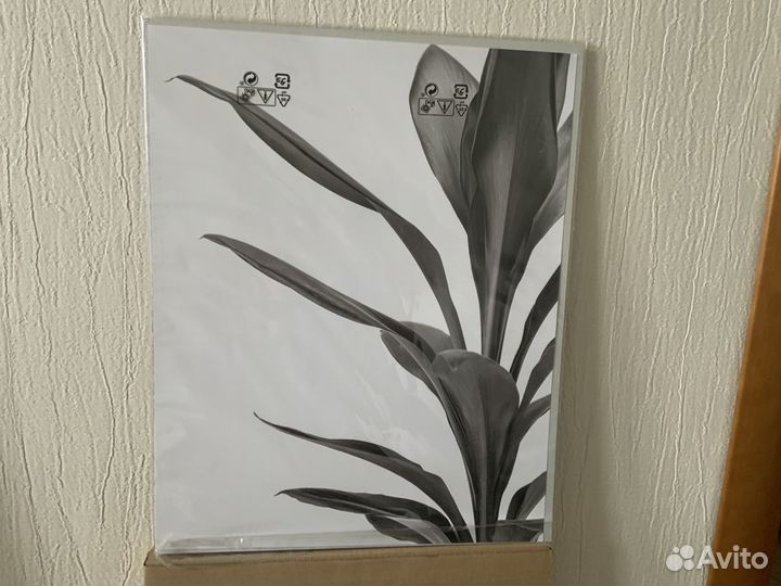 Постеры IKEA новые