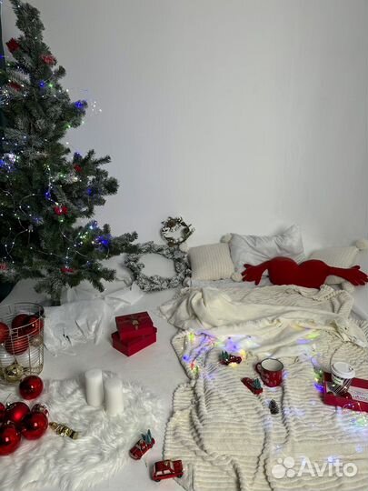 Новогодняя фотосессия в студии