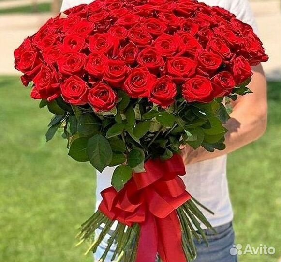 Высокие розы Гигантские Розы 150 160 170 180 190см