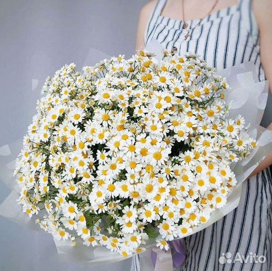 Цветы ромашки. Букеты ромашек. Цветы доставка