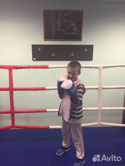 Тренер по боксу