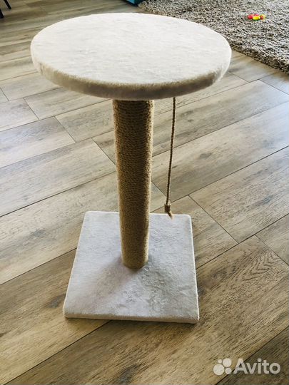 Когтеточка