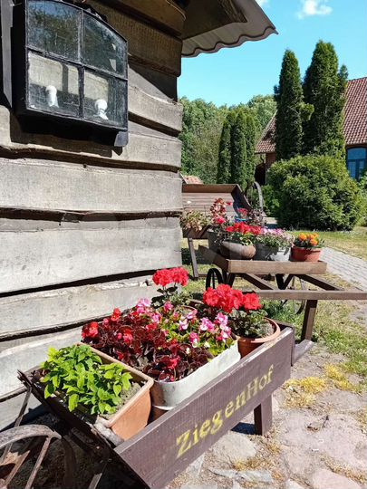 Комната 14 м², 1/2 эт.