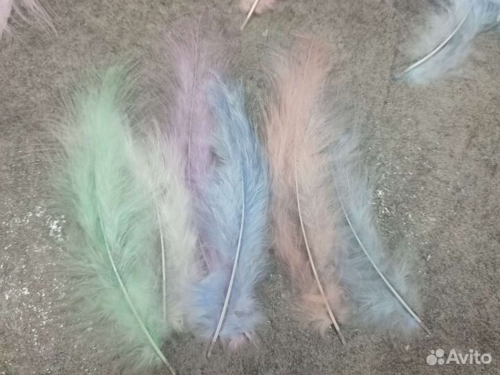Перья птиц для творчества