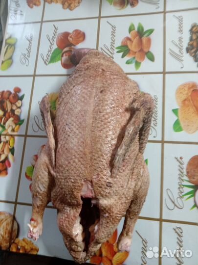 Утка Королевские муларды