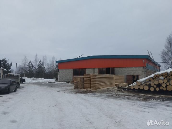 Сено в рулонах 2024