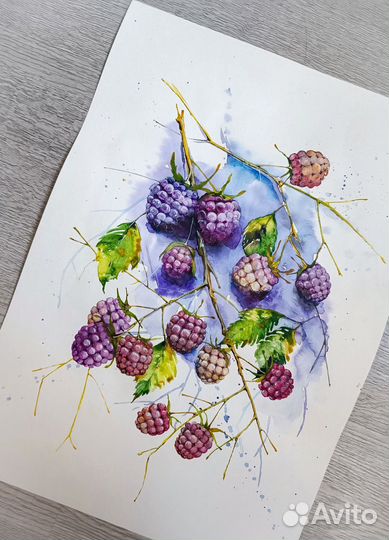 Акварель «Малина» А3