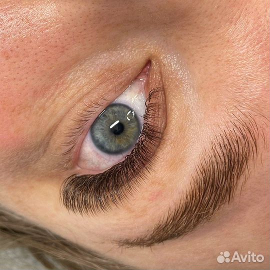 Наращивание ресниц брови