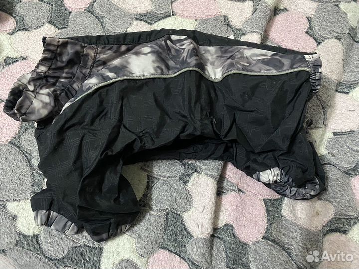 Одежда для собак мелких пород