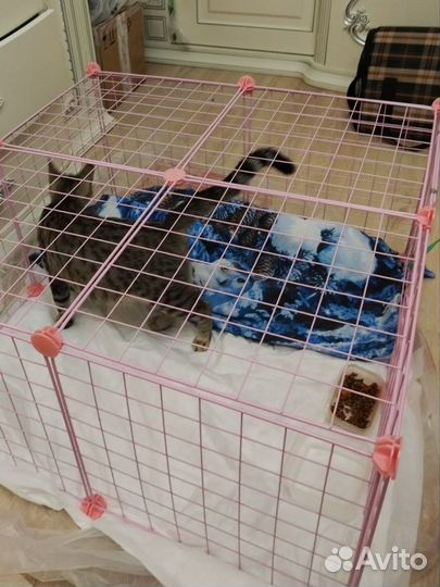 Клетка вольер для кошек