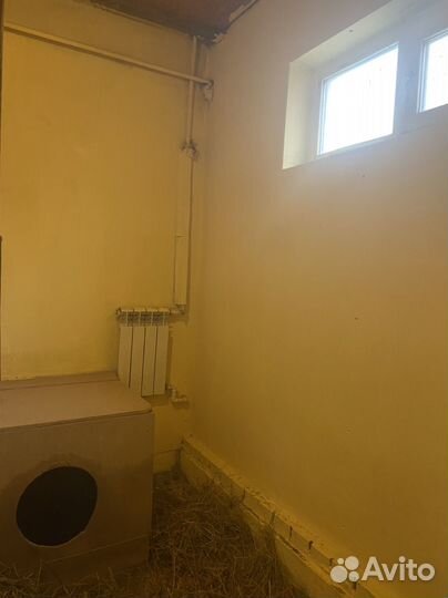 Передержка собак и других животных