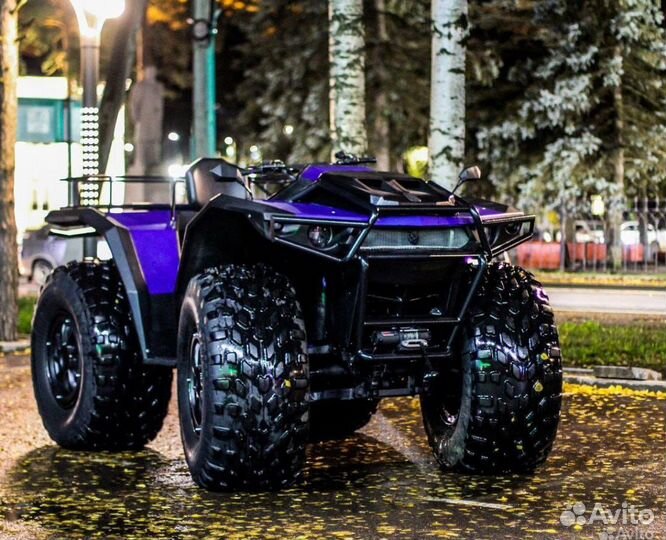 Вездеход, снегоболотоход 