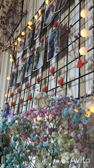 Решетка для фото с прищепками