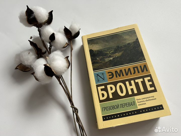 Книга Грозовой перевал Эмили Бронте новая