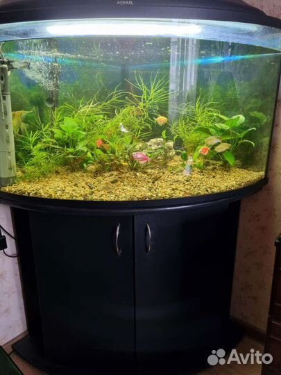 Аквариум 180 л с тумбой, Акваэль