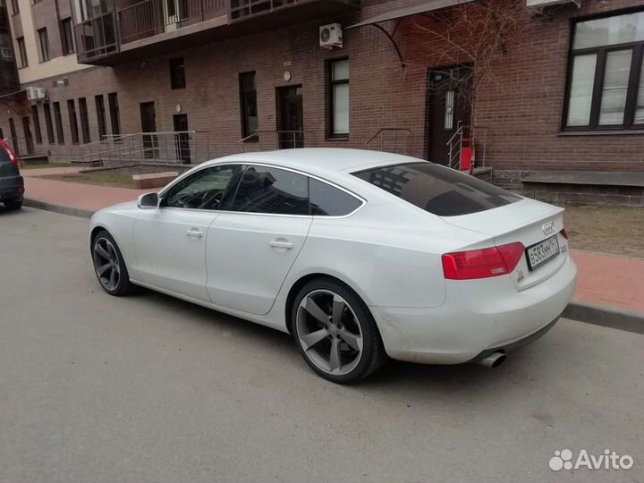 Гид на личном авто по спб и обл, English speaker