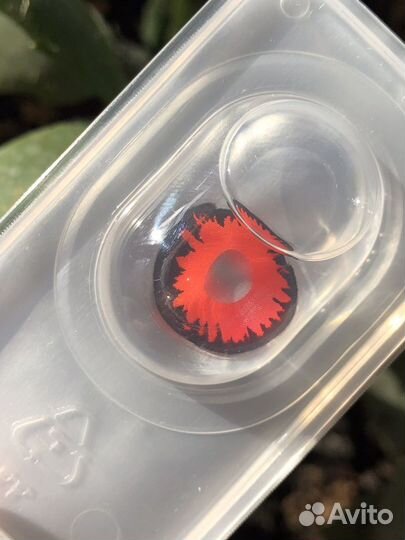 Красные контактные линзы для глаз