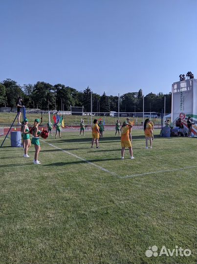 Аренда мобильной волейбольной площадки