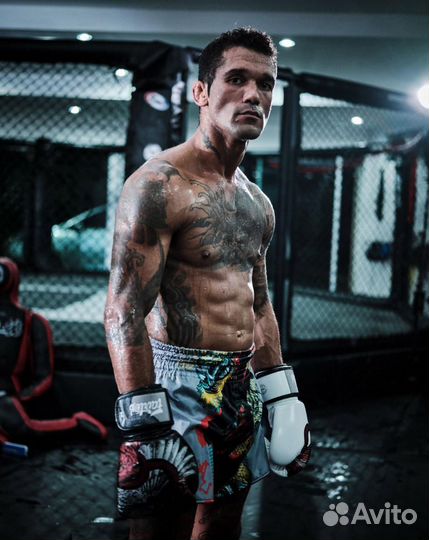 Боксерские перчатки Fairtex F-Day2