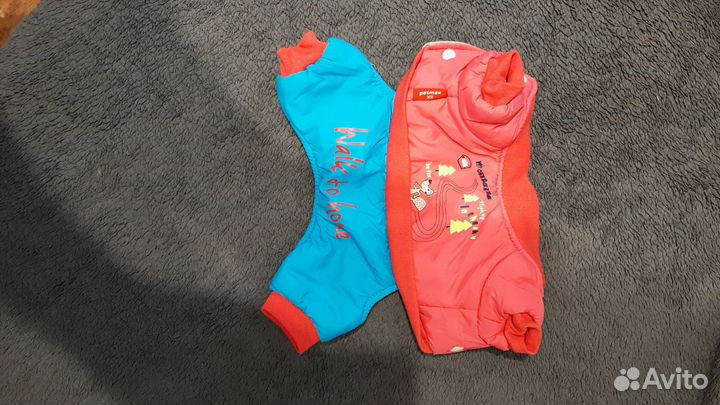 Вещи для маленькой собачки