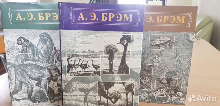 Книги Альфред Брем в 3 томах