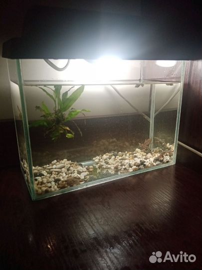 Аквариум с крышкой