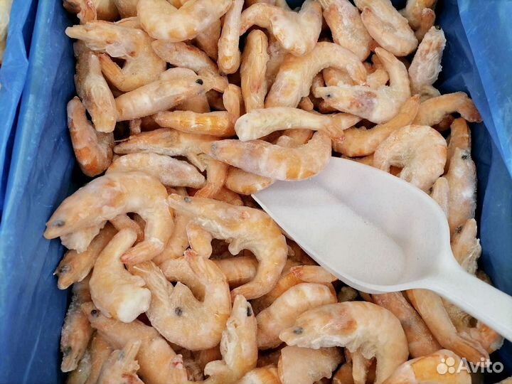 Креветки, лангустины в наличии свежие поставки