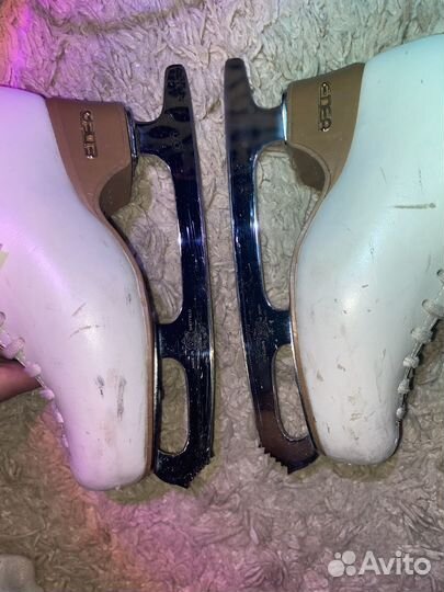 Фигурные коньки edea