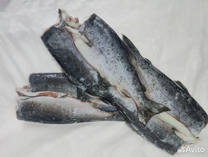 Рыба свежемороженая