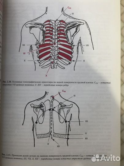 Пропедевтика
