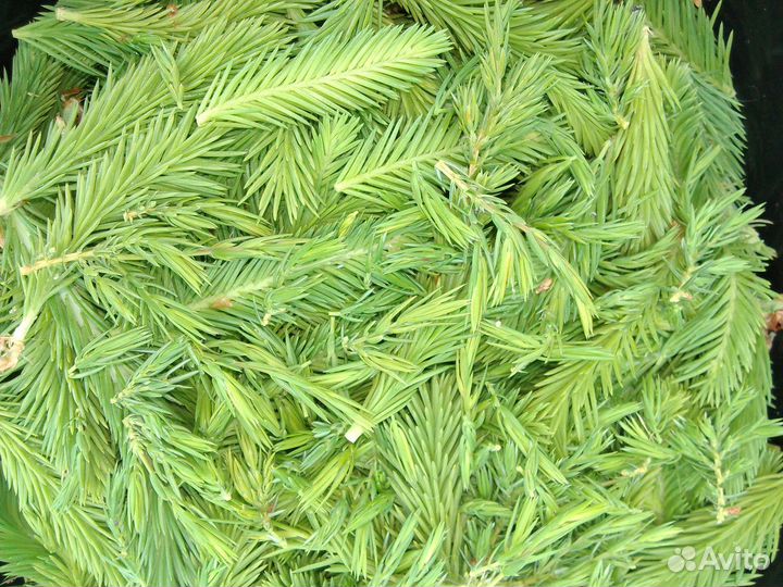 Варенье сироп