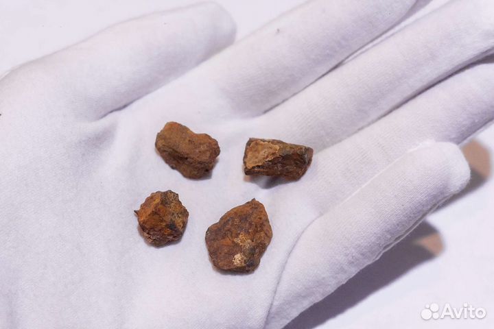 Фрагменты метеорита Царев