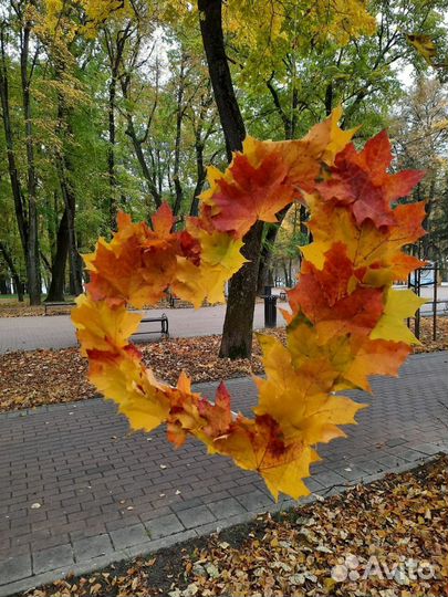 Иммиграционная виза США. Получение грин-карты