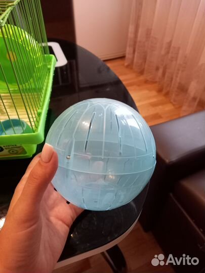 Клетка для джунгарского хомяка