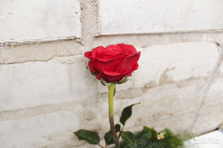 Красная роза из полимерной глины. Ручная работа