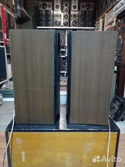 Колонки вега 50ас 106