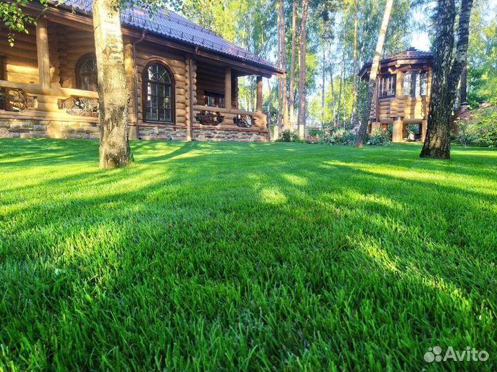 Семена газонной травы, газон, травосмесь