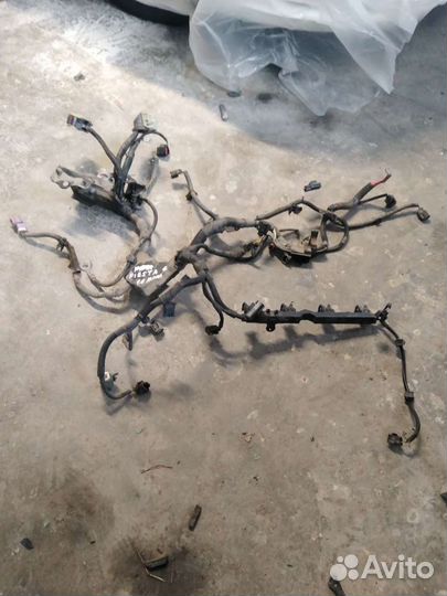 Форд фиеста 6 проводка моторная