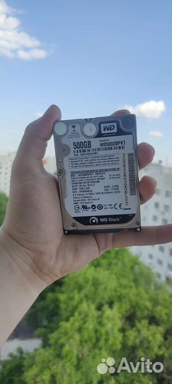 Весткий диск WD Black WD5000bpkt 500 Гб