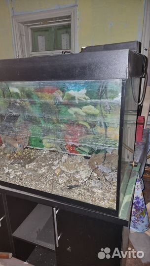 Аквариум