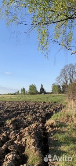 Экоферма. Поиск бизнес-партнера для развития