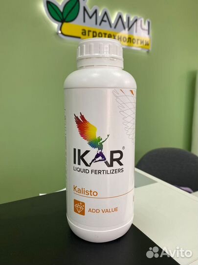 Икар Калисто (Ikar Kalisto)