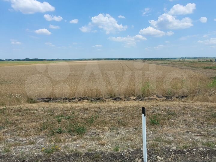 Участок 25 га (СНТ, ДНП)