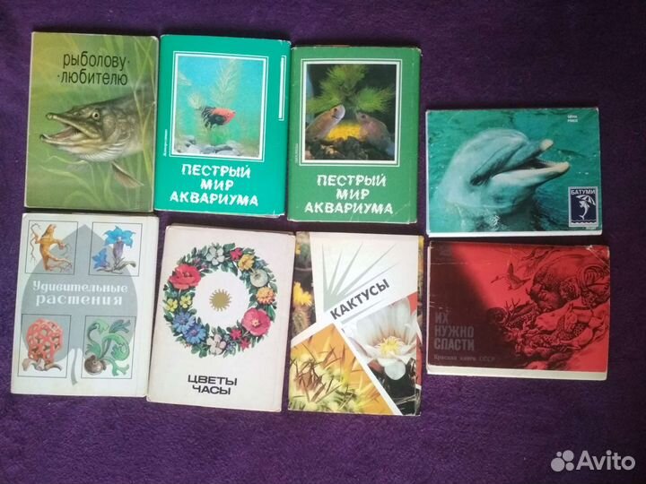 Открытки: животные, растения, города