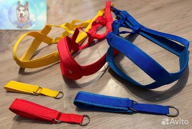 Ездовая шлейка