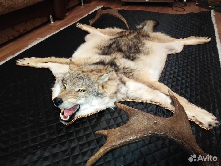 Выделка Шкур и черепов