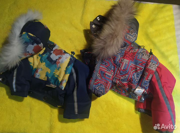 Одежда для собак