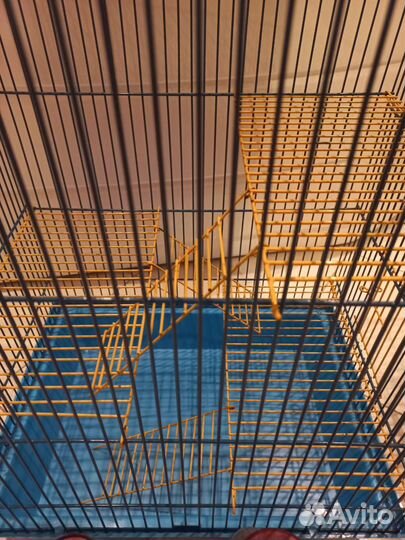 Клетка для грызунов