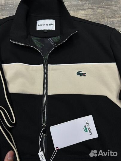 Спортивный костюм lacoste