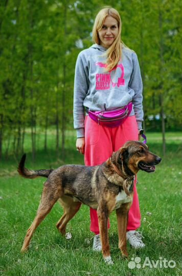 Нежному Августу не место в приюте